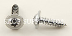 Chrome Finish Trim Screws